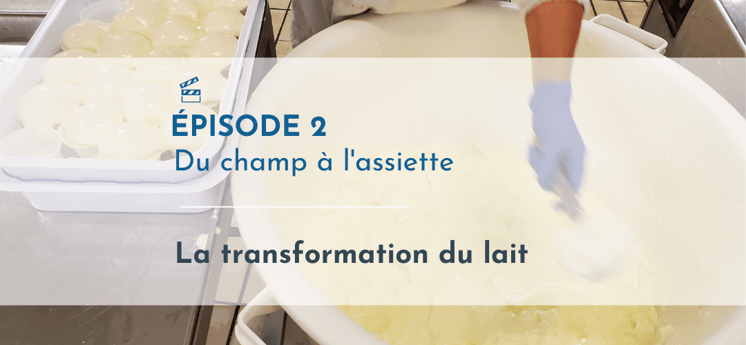 Episode 2_Du champ a l assiette_Laitduforez