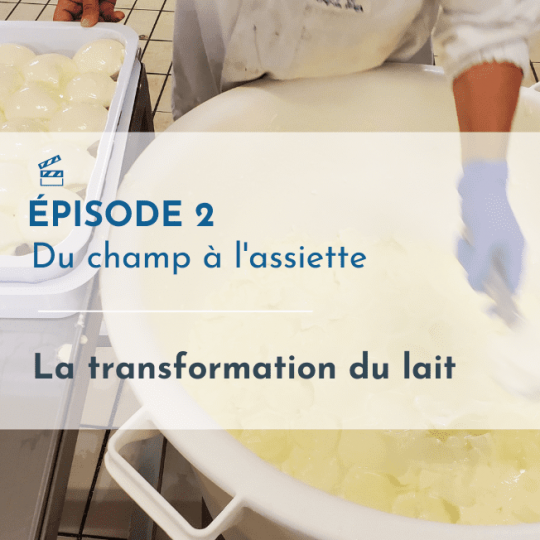 Episode 2_Du champ a l assiette_Laitduforez