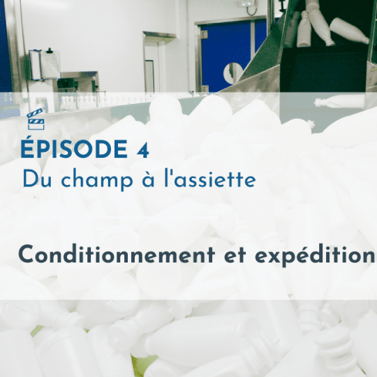 EPISODE4_Conditionnement_Transport_LaitDuForez_header
